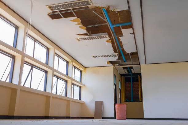 Best Water damage restoration near me  in North Liberty, IA
