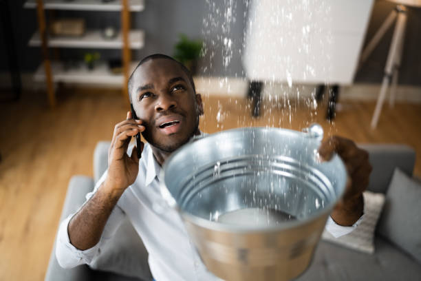 Best Water damage restoration experts  in North Liberty, IA
