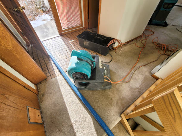 Water damage restoration experts