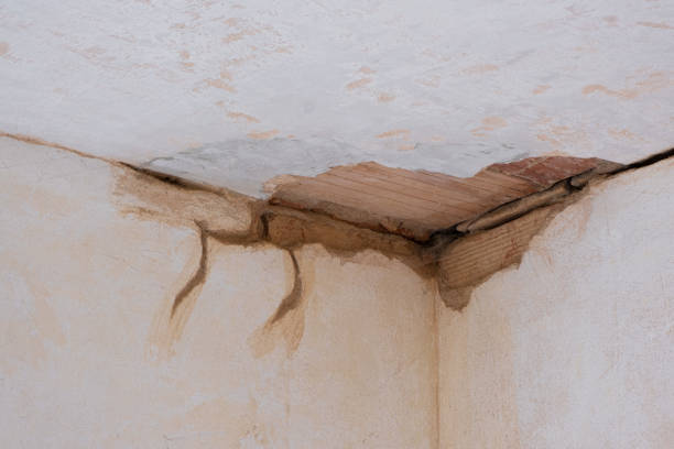  North Liberty, IA Water damage restoration Pros