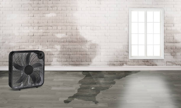 Best Residential water damage restoration  in North Liberty, IA