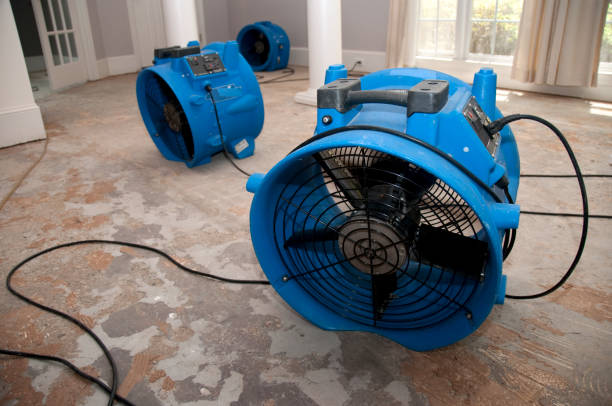 Best Carpet water damage restoration  in North Liberty, IA