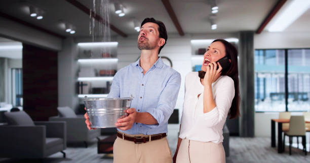 Best Flood damage cleanup  in North Liberty, IA